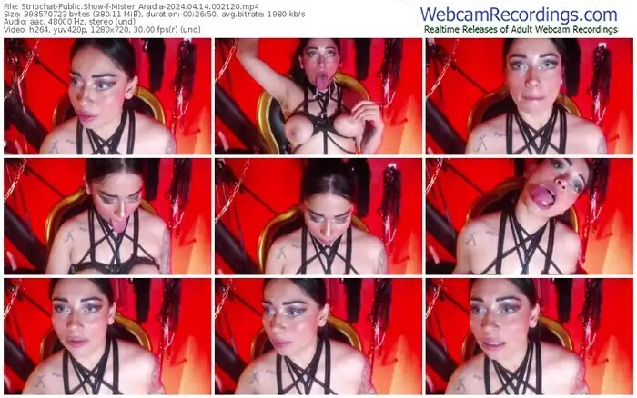 stripchat-mister_aradia-04-14-2024-00-21-20