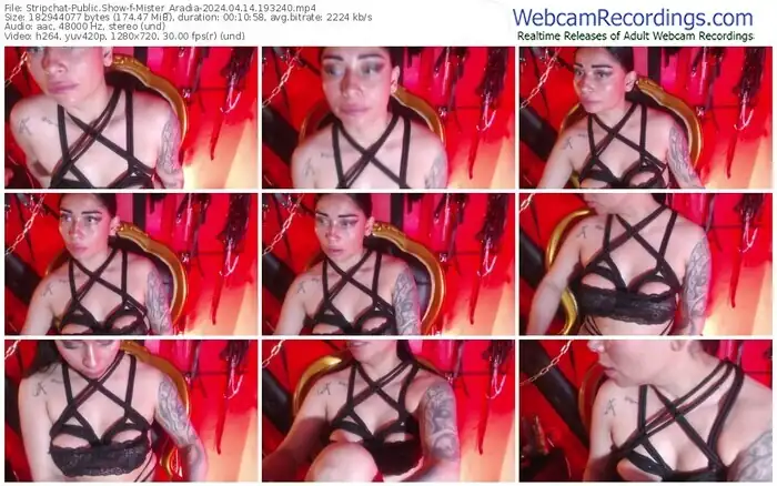 stripchat-mister_aradia-04-14-2024-19-32-40
