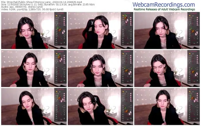 stripchat-monica_lane_-04-14-2024-20-48-29