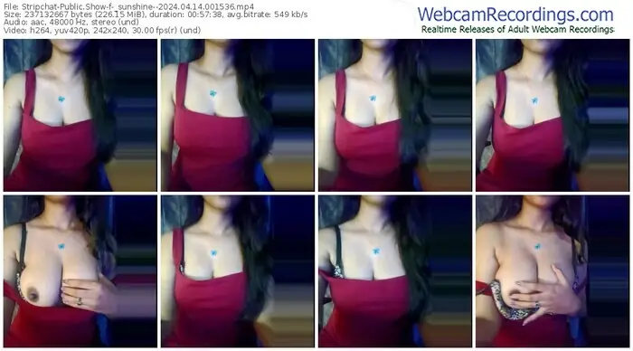 stripchat-_sunshine--04-14-2024-00-15-36