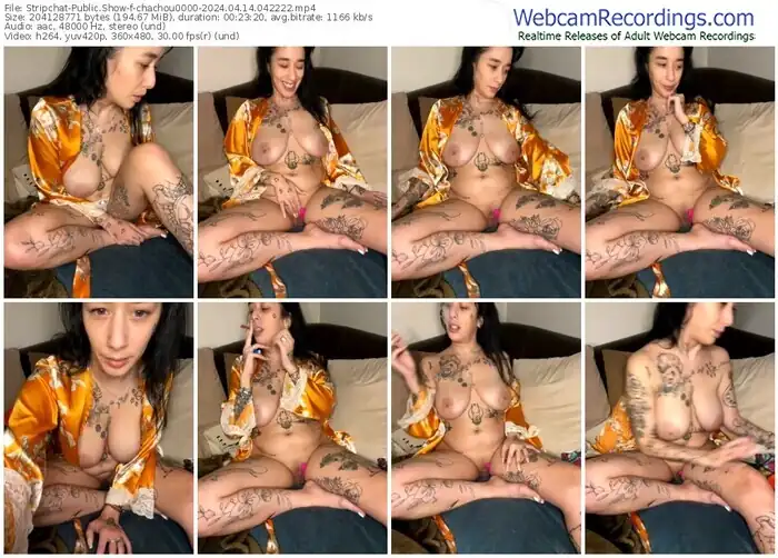 stripchat-chachou0000-04-14-2024-04-22-22