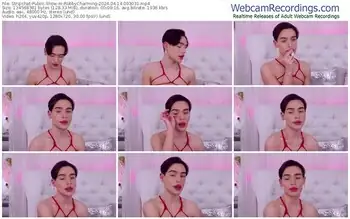 stripchat-robbycharming-04-14-2024-00-30-31