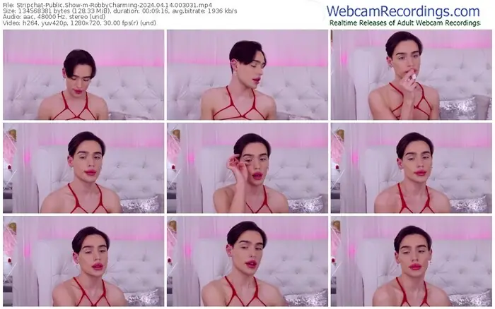 stripchat-robbycharming-04-14-2024-00-30-31