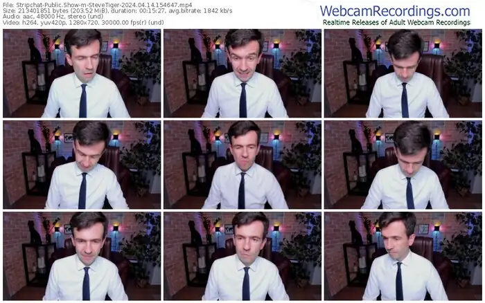 stripchat-stevetiger-04-14-2024-15-46-47