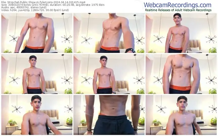 stripchat-tylerlions-04-14-2024-02-14-15