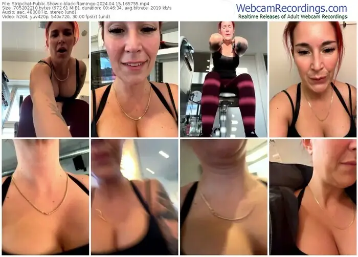 stripchat-black-flamingo-04-15-2024-16-57-55