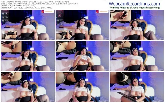 stripchat-evelin_mason-04-15-2024-00-11-20