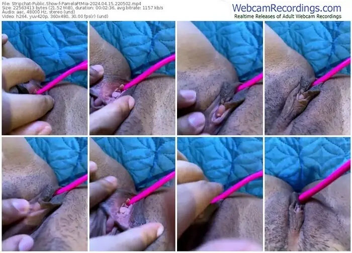 stripchat-pamelaftmia-04-15-2024-22-05-02