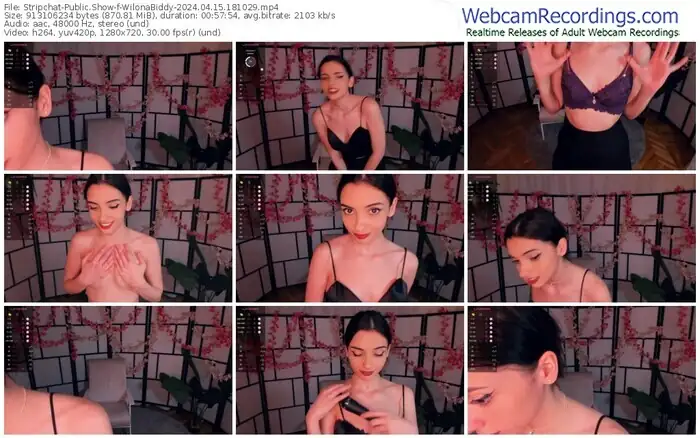 stripchat-wilonabiddy-04-15-2024-18-10-29