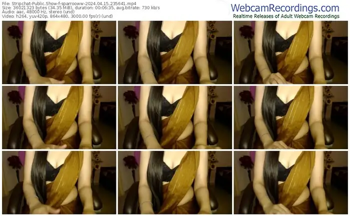 stripchat-sparrooww-04-15-2024-23-56-41