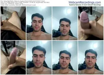 stripchat-guguzinhoxd-04-15-2024-02-04-17