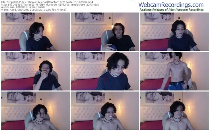 stripchat-michaelphanton18-04-15-2024-17-03-20