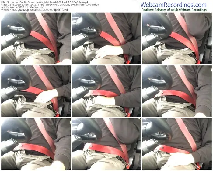 stripchat-ohmyrichard-04-15-2024-06-49-54