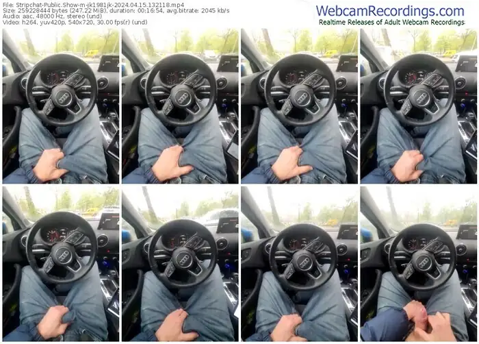 stripchat-jk1981jk-04-15-2024-13-21-18