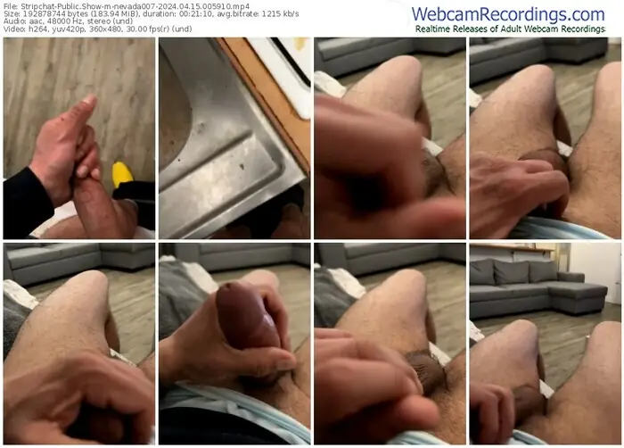 stripchat-nevada007-04-15-2024-00-59-10