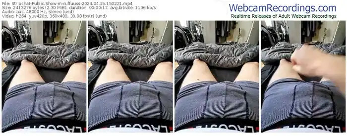 stripchat-ruffuuss-04-15-2024-15-02-21