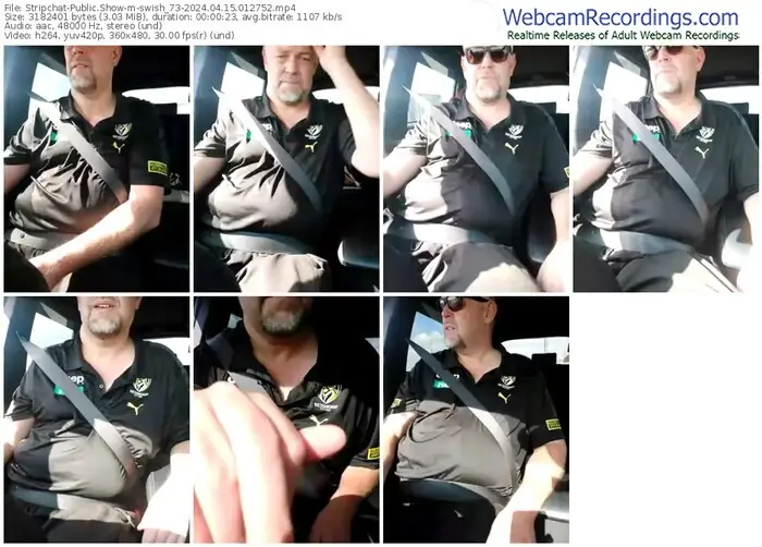 stripchat-swish_73-04-15-2024-01-27-52
