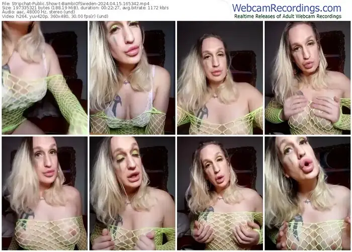 stripchat-bambiofsweden-04-15-2024-16-53-42