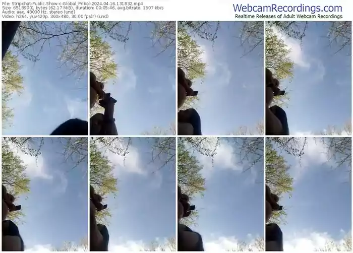 stripchat-global_prikol-04-16-2024-13-18-32