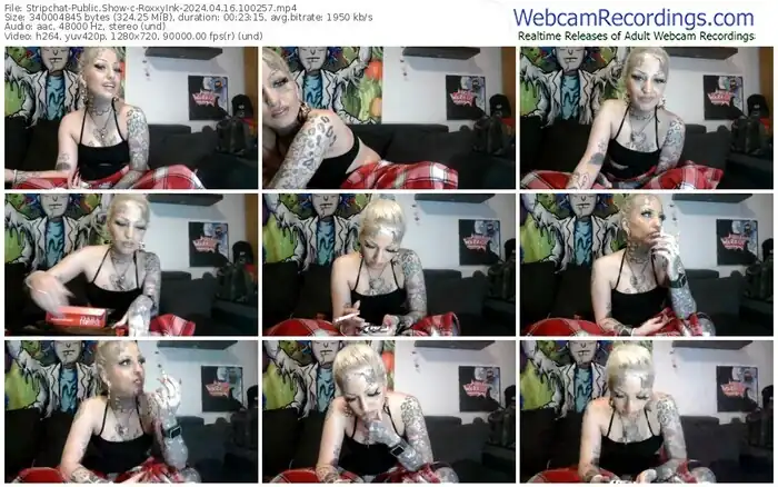 stripchat-roxxyink-04-16-2024-10-02-57