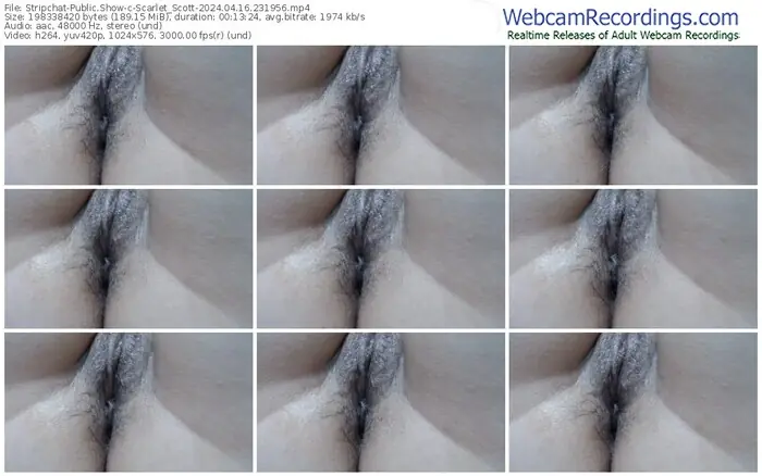 stripchat-scarlet_scott-04-16-2024-23-19-56