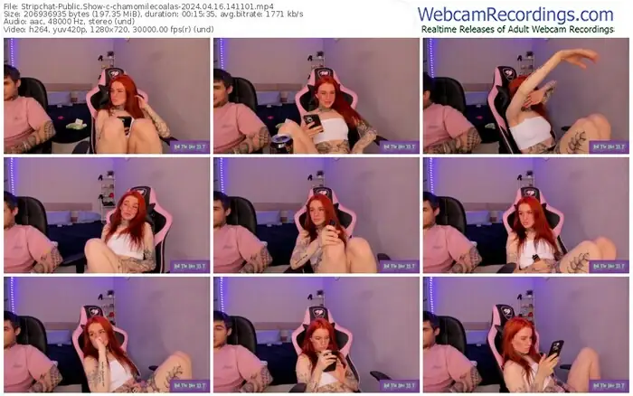 stripchat-chamomilecoalas-04-16-2024-14-11-01