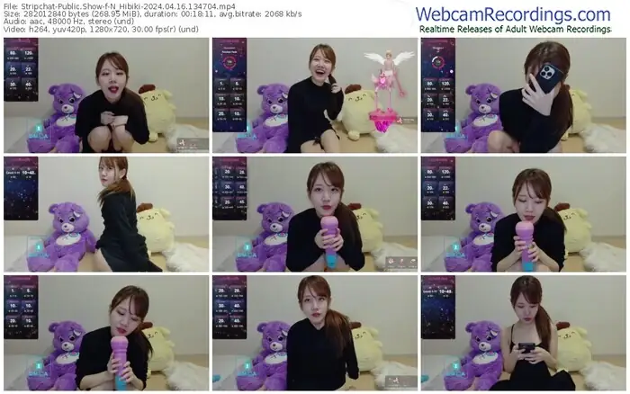 stripchat-n_hibiki-04-16-2024-13-47-04