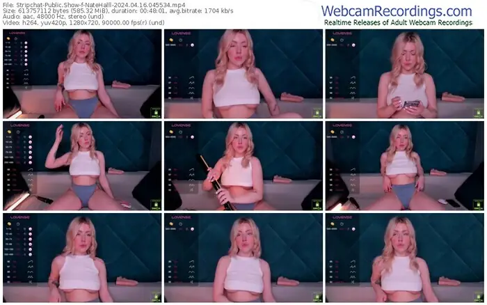 stripchat-natehalll-04-16-2024-04-55-34