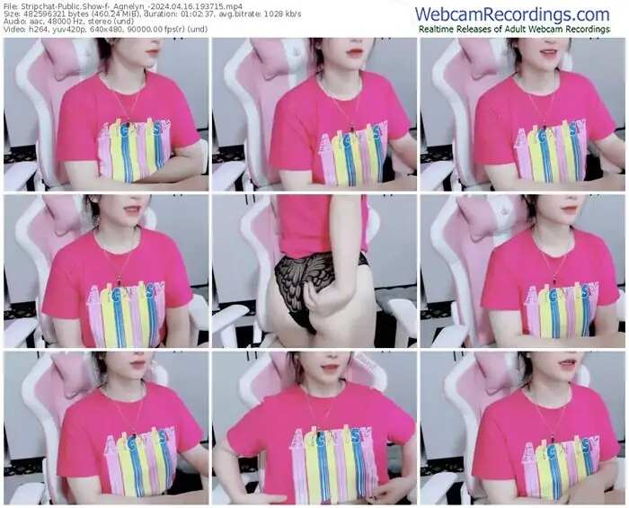 stripchat-_agnelyn_-04-16-2024-19-37-15