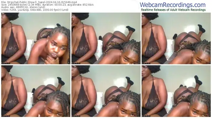 stripchat-_hazel-04-16-2024-01-59-49