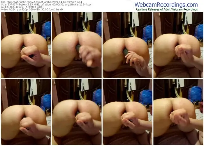 stripchat-asinat_arabe-04-16-2024-03-05-27