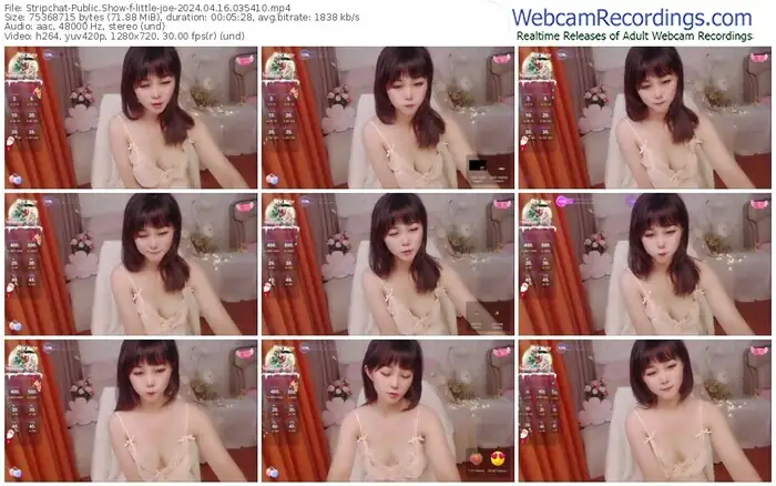 stripchat-little-joe-04-16-2024-03-54-10