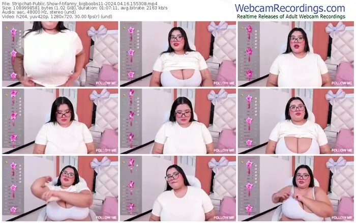 stripchat-tifanny_bigboobs11-04-16-2024-15-53-08