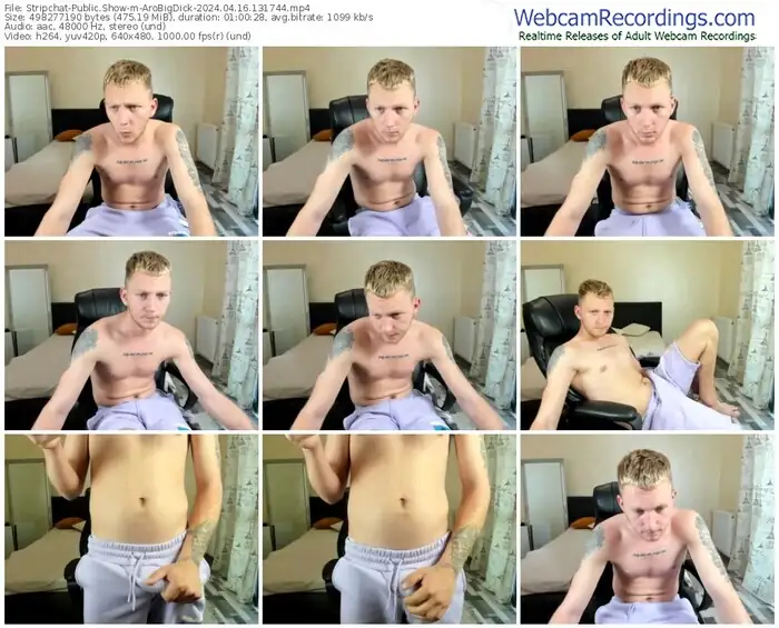 stripchat-arobigdick-04-16-2024-13-17-44