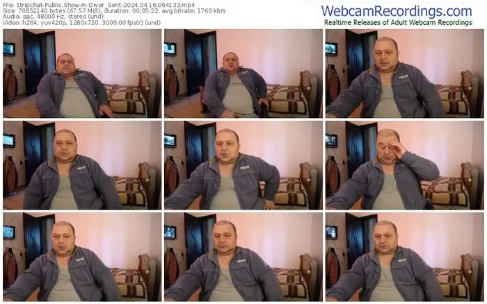 stripchat-diver_gent-04-16-2024-06-41-33