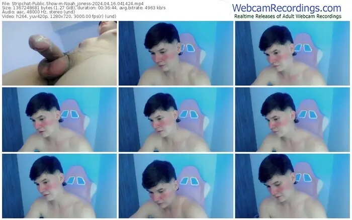 stripchat-noah_joness-04-16-2024-04-14-24