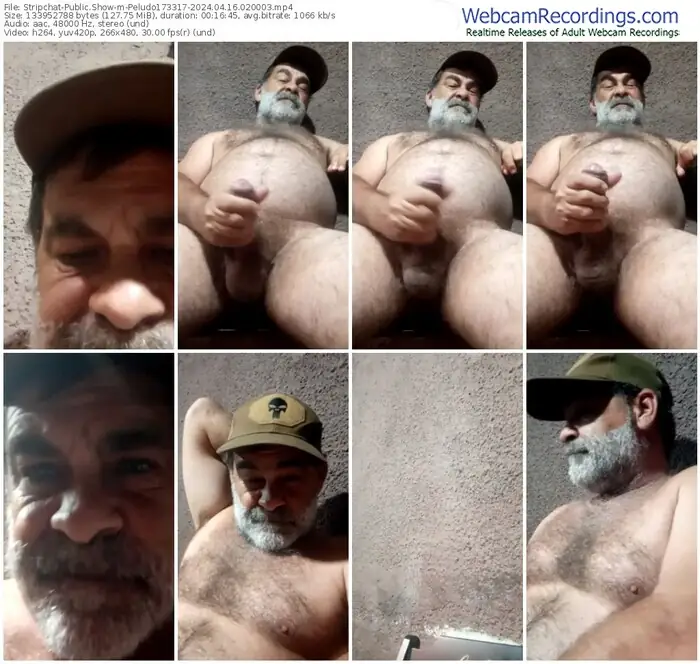 stripchat-peludo173317-04-16-2024-02-00-03