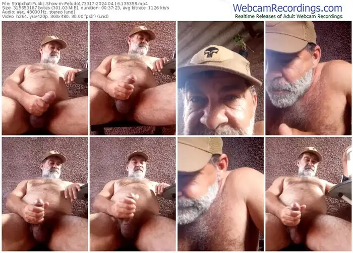 stripchat-peludo173317-04-16-2024-13-53-58