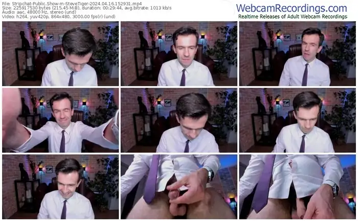 stripchat-stevetiger-04-16-2024-15-29-31
