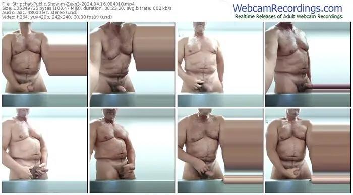 stripchat-zaxs3-04-16-2024-00-43-18