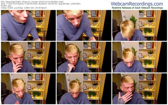 stripchat-_kireev-04-16-2024-06-45-01