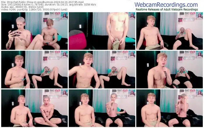 stripchat-goodbunnies-04-16-2024-20-27-45