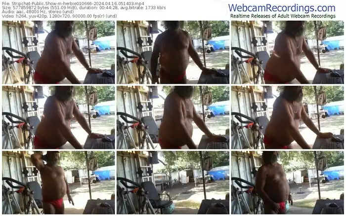 stripchat-herbie010666-04-16-2024-05-14-03