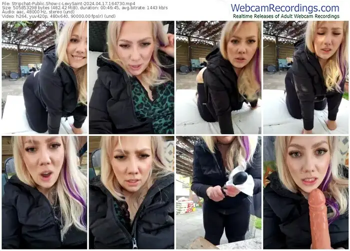 stripchat-lexysaint-04-17-2024-16-47-30