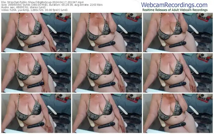 stripchat-bigbogcup-04-17-2024-20-10-47