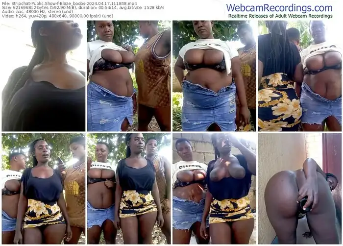 stripchat-blaze_boobs-04-17-2024-11-18-48