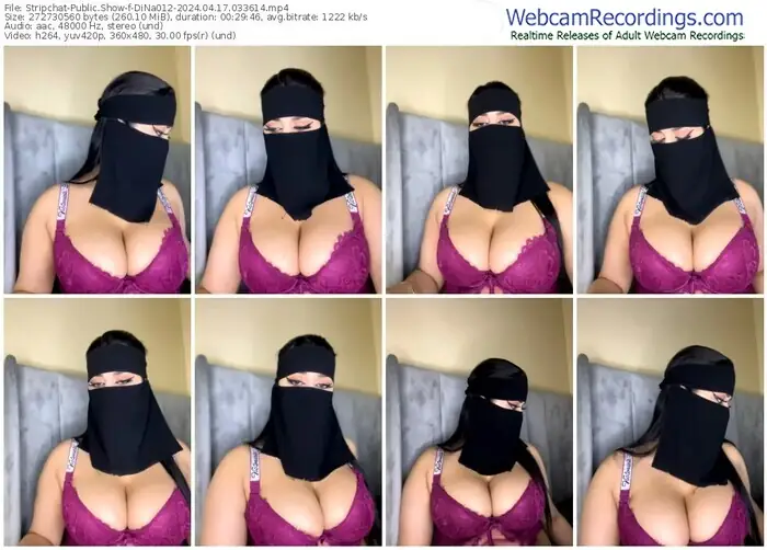 stripchat-dina012-04-17-2024-03-36-14