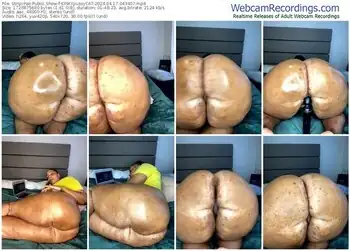 stripchat-kinkypussycat-04-17-2024-04-34-07