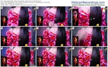 stripchat-sanchiti--04-17-2024-17-26-29