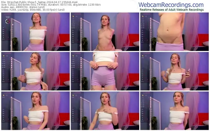 stripchat-_faptax-04-17-2024-15-56-44